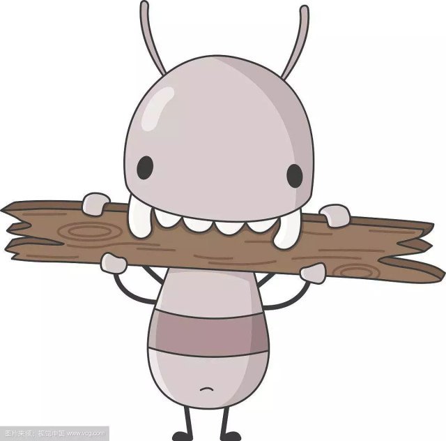 水库大坝挖出"白蚁王宫" 活捉44对蚁王蚁后