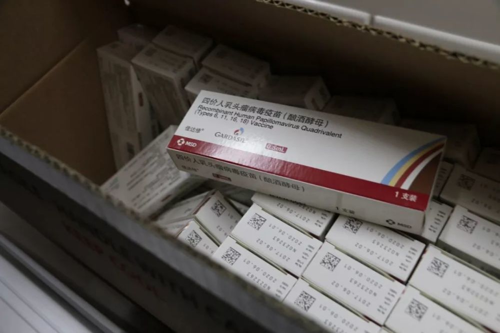 四价hpv疫苗今日杭州正式开打每针888元