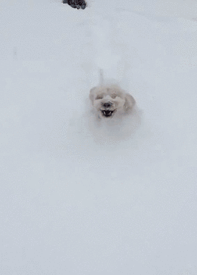 284_396竖版 竖屏gif 动态图 动图