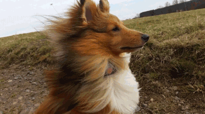 400_224gif 动态图 动图