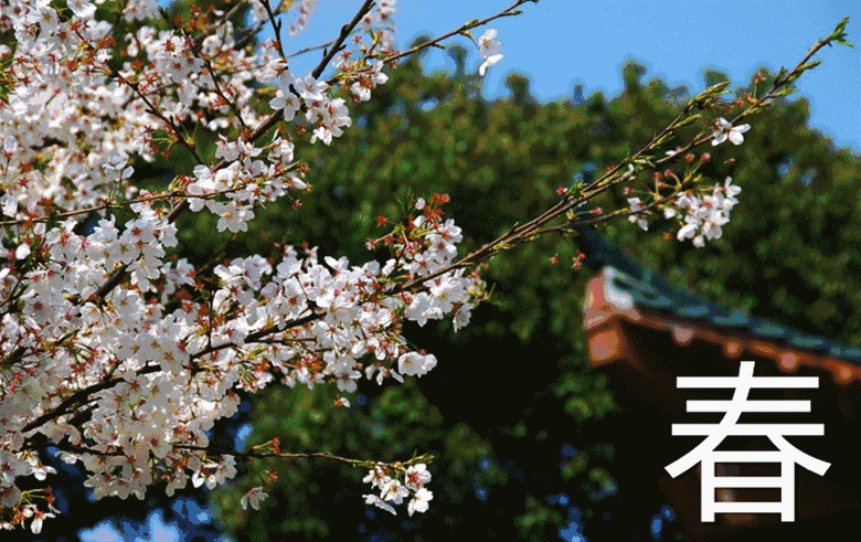 780_491gif 动态图 动图