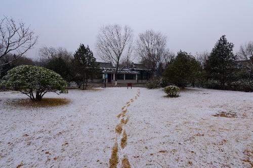 济南的冬天,五龙潭公园初雪美如画