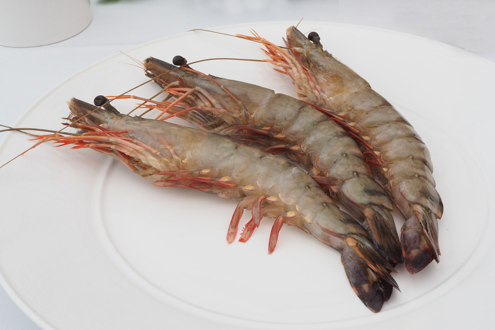 世界上最"耐热"的虾,生活在400多度的火山处,那怎么吃呢?