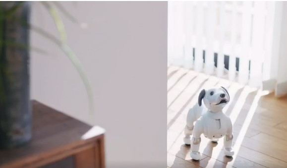 1万多一只！索尼新一代机器狗发售 