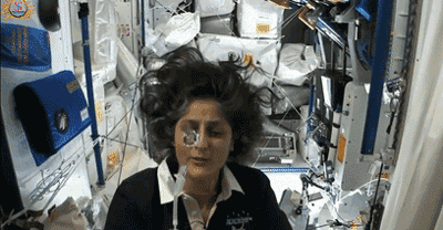 "出差三人组"回家!聊聊为啥要去太空做实验