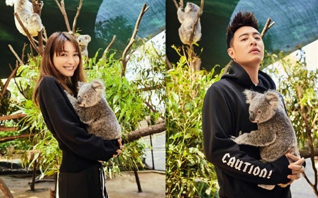 吴昕潘玮柏登上时尚杂志情人节封面无尾熊cp持续发糖中