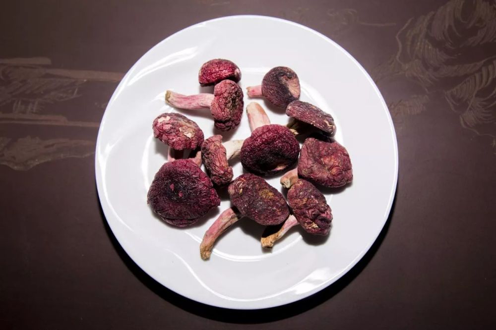 佛教竟然也讲究养生?健康长寿如取恒河一滴水