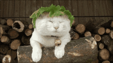 分手|盘点影视剧中“必会下雨”的桥段！你想到了几个？