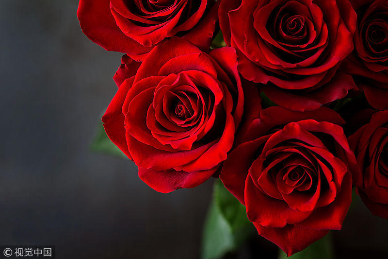 与有情众生共度情人节:如果爱 默默陪伴和思念