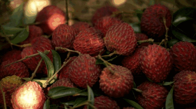 热量|吃水果减肥反而胖？这些水果热量比肉高多了！你踩雷了吗？