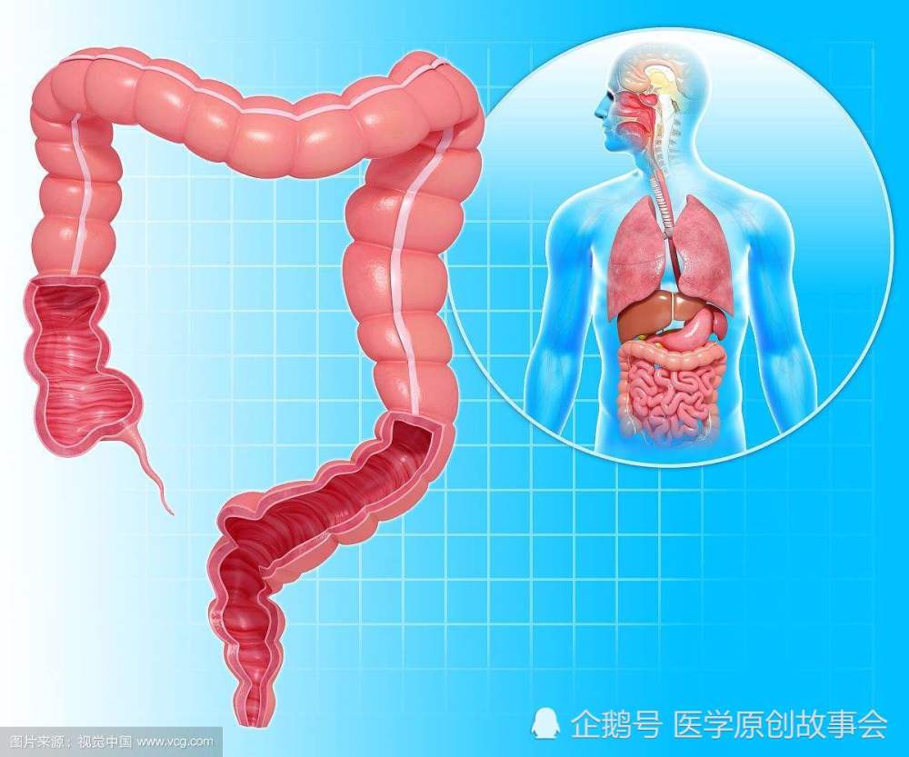 吃完饭后肚子咕咕叫,这三种疾病一定要重视!