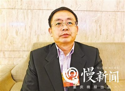 重庆实施乡村振兴战略行动计划 看看代表委员