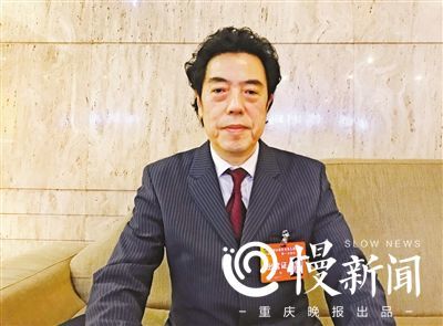 重庆实施乡村振兴战略行动计划 看看代表委员