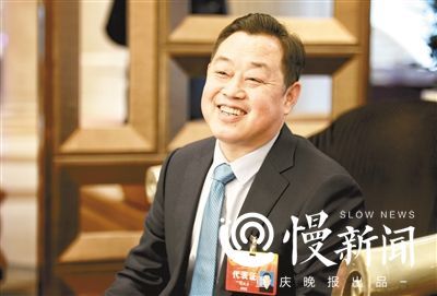 重庆实施乡村振兴战略行动计划 看看代表委员