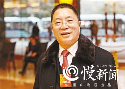 重庆实施乡村振兴战略行动计划 看看代表委员