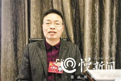 重庆实施乡村振兴战略行动计划 看看代表委员
