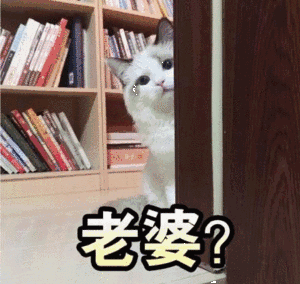 300_284gif 动态图 动图