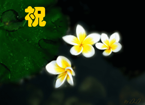 6月温暖的鲜花晚安心语句子 温馨暖心漂亮花朵祝福语唯美动态表情包