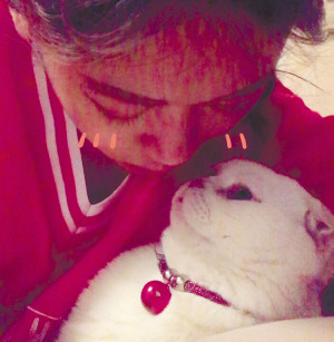 冰城有两只会说话的猫猫主人二豆妈是个95后