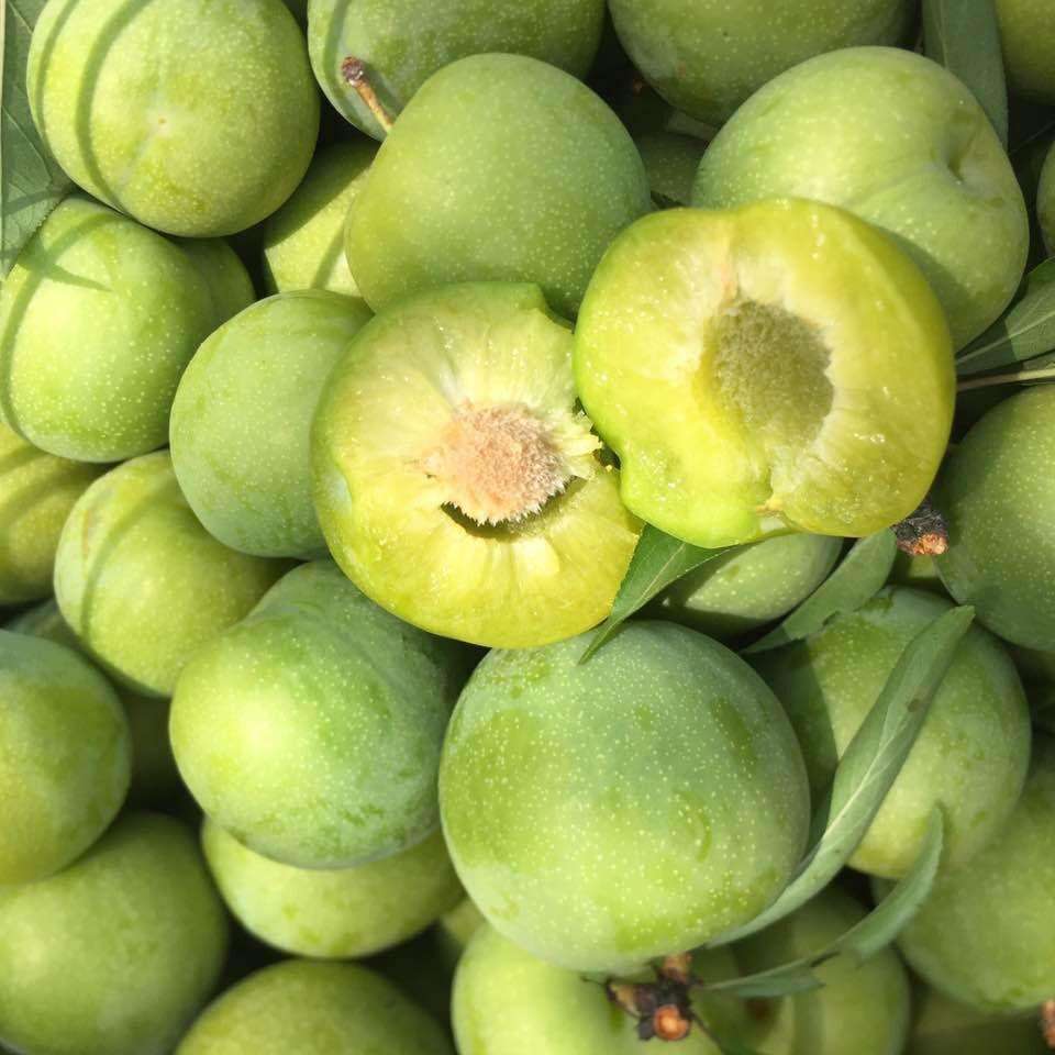 来自舌尖上的巫山,快来尝尝