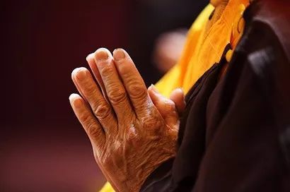 特别提示:本文转载自新浪博客. 邵君仍继续着在念佛.