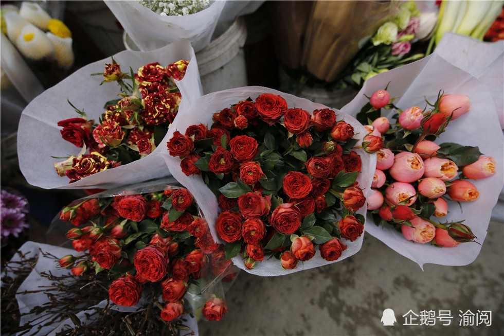 当情人节撞上春节玫瑰花束价格上涨近百元 腾讯网
