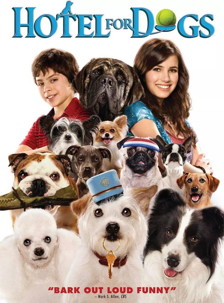 这二十部关于狗狗的电影 赚足了我的眼泪 腾讯网