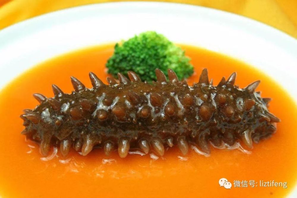 政协委员何新授权的博客