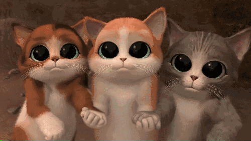 另根据工作年限(工作满一年以上),工作表现每月给予层级(300元-1100元