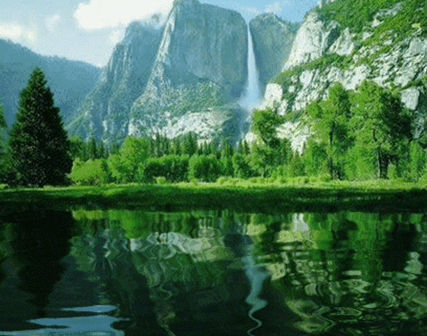 610_480gif 动态图 动图