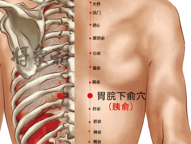 艾灸时用温和灸,取胰俞穴,肺俞穴,脾俞穴,肾俞穴.