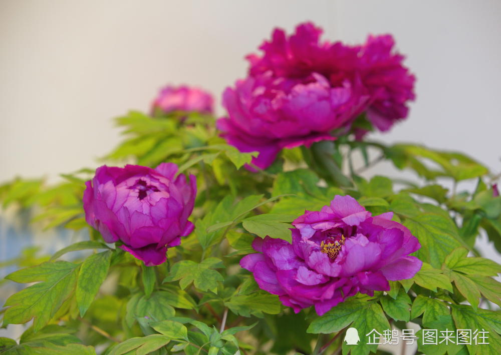 这些经典励志短句,有助于把握人生