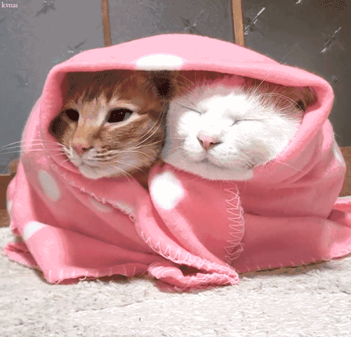 近几天,受寒潮天气过程影响,浙江各地雨水时断时续,大风降温双双来袭