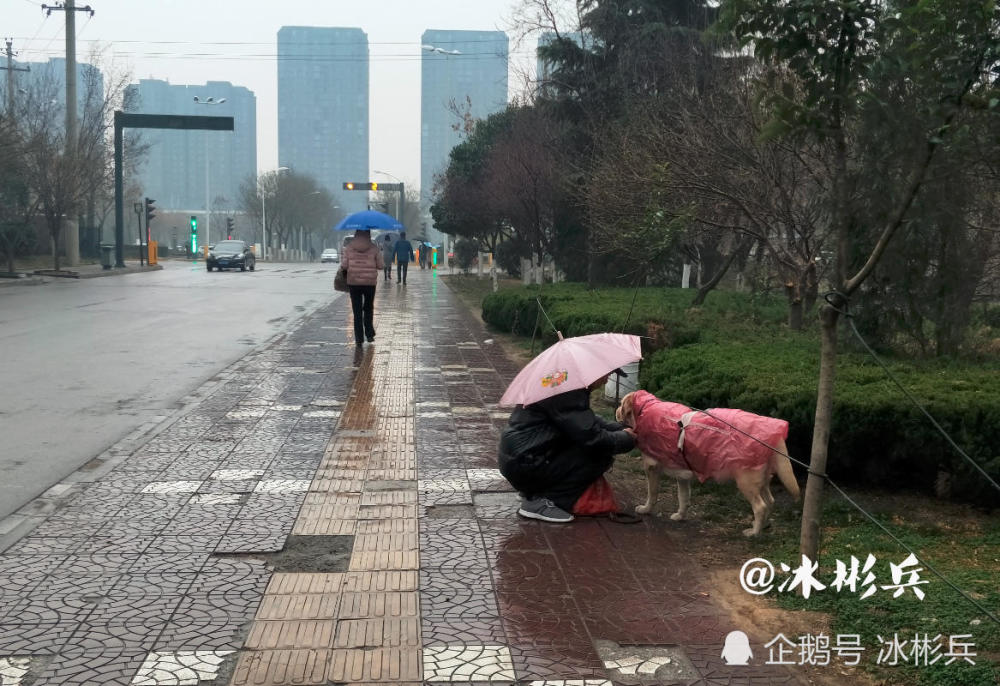 实拍:陪伴是最真情的告白,下雨天60岁老人蹲在