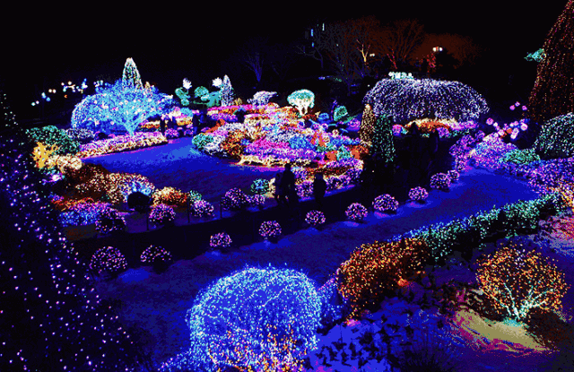 至7月10日期间,还将在独库大本营南部生态园举办2022年大型梦幻灯光节