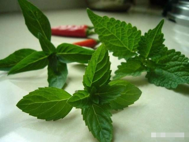 利湿、化湿、渗湿、燥湿的区别是什么?99%的