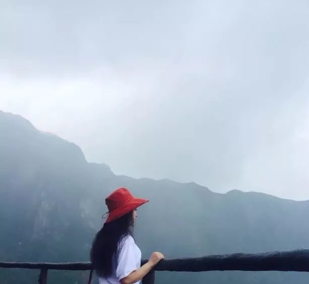 林丫头的清灵境莲居 rssing com