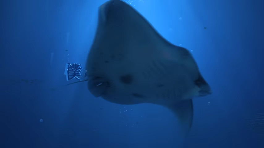 硬核潜水动画！《碧蓝之海》PV第一弹