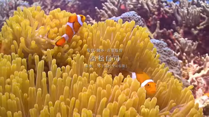 硬核潜水动画！《碧蓝之海》PV第一弹