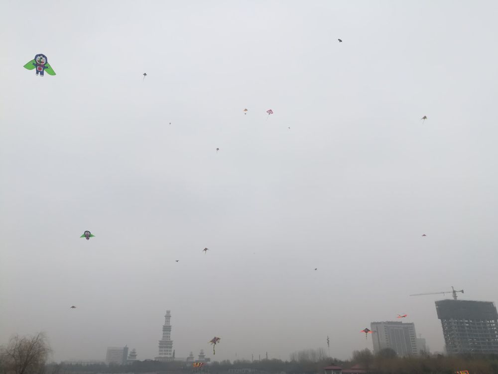 周口公园风筝满天,千人齐飞试比高,现场状况百出,这一幕暖心治愈