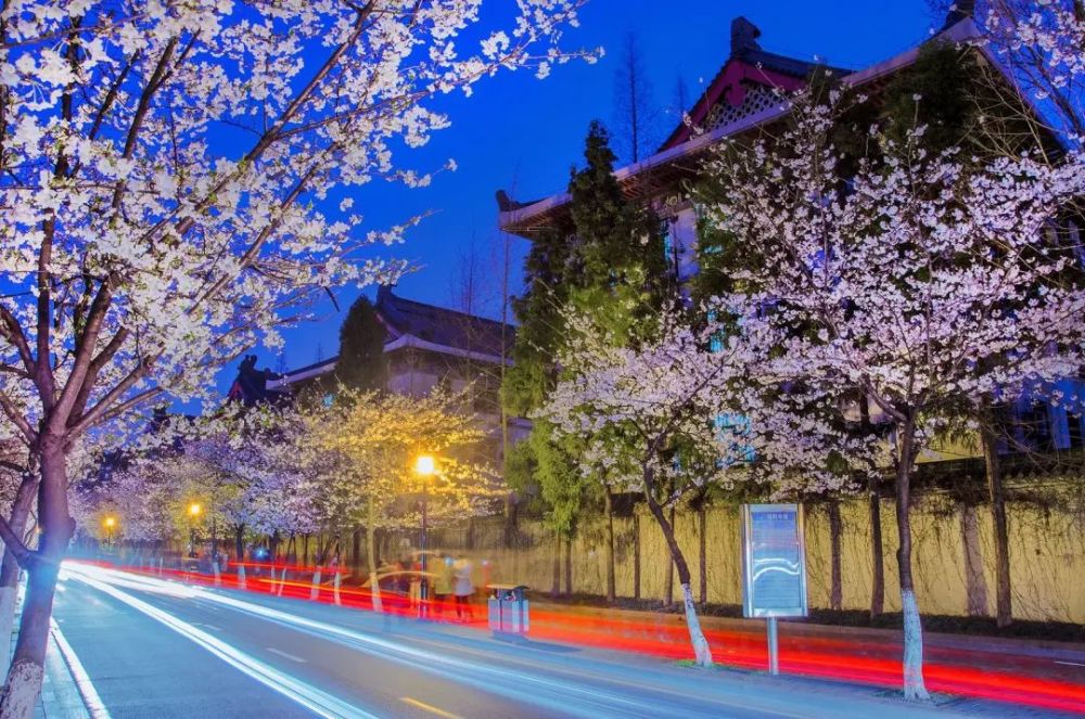 浪漫樱花季戴上这些首饰又美又养颜