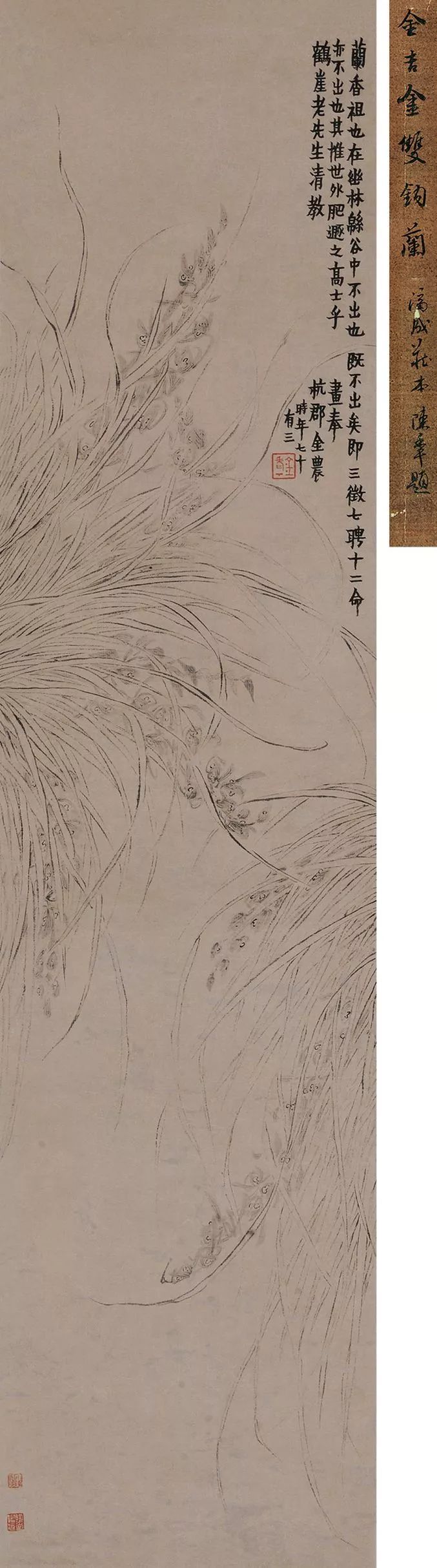 金农|一个不修边幅的书画家，一个才华横溢的旷世奇人