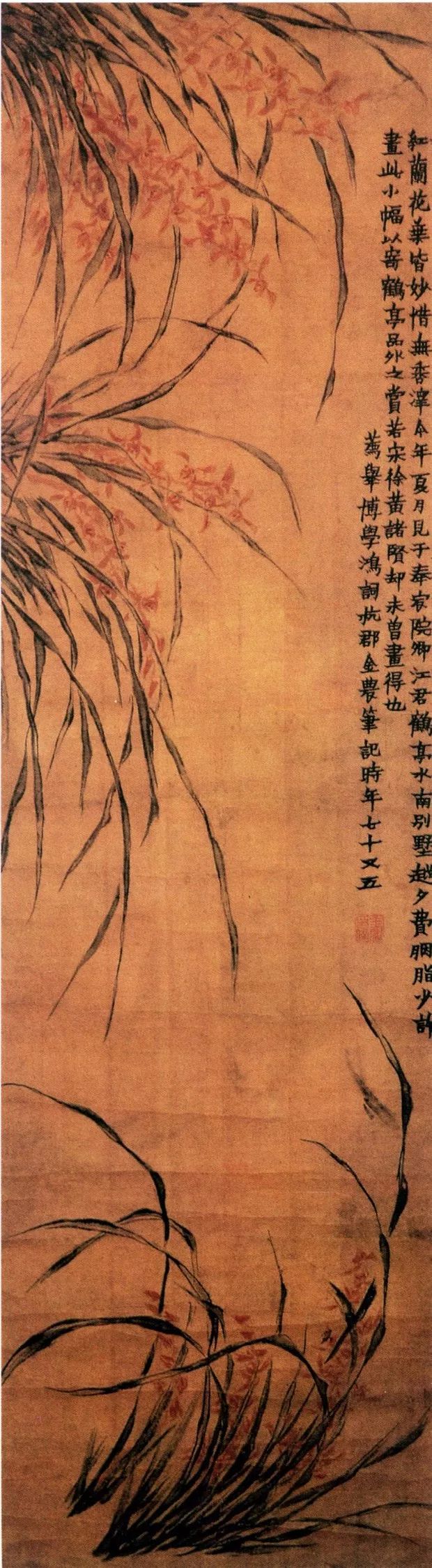 金农|一个不修边幅的书画家，一个才华横溢的旷世奇人