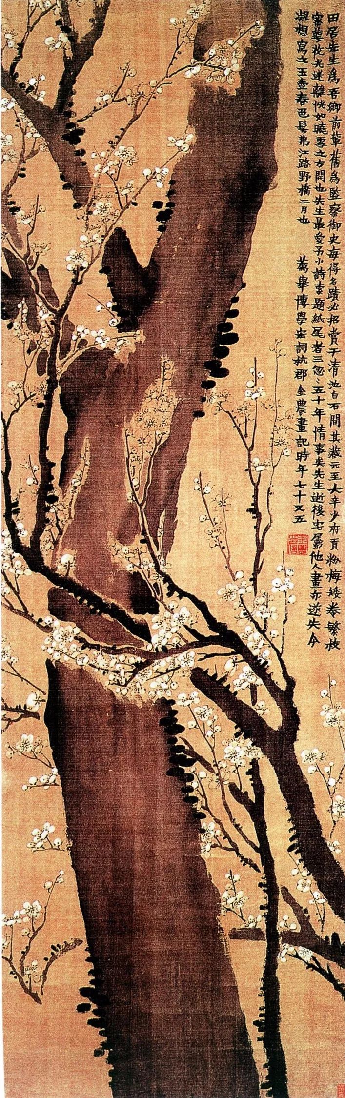 金农|一个不修边幅的书画家，一个才华横溢的旷世奇人