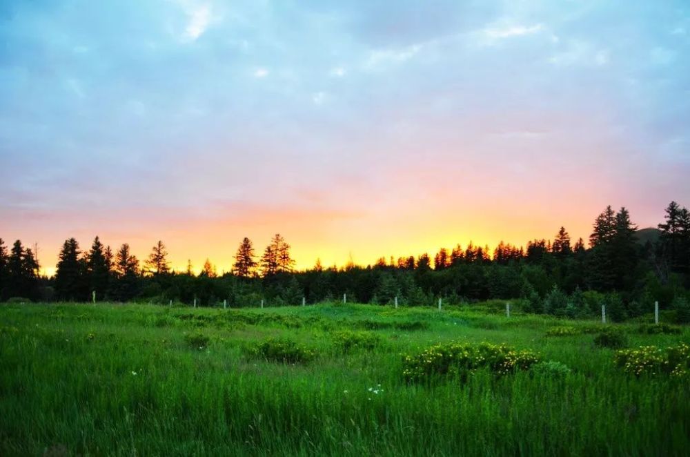 克什克腾沙地中的绿宝石