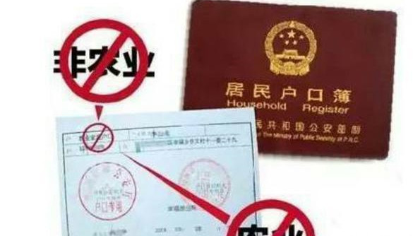 重点人口的户口_重点色布偶(3)