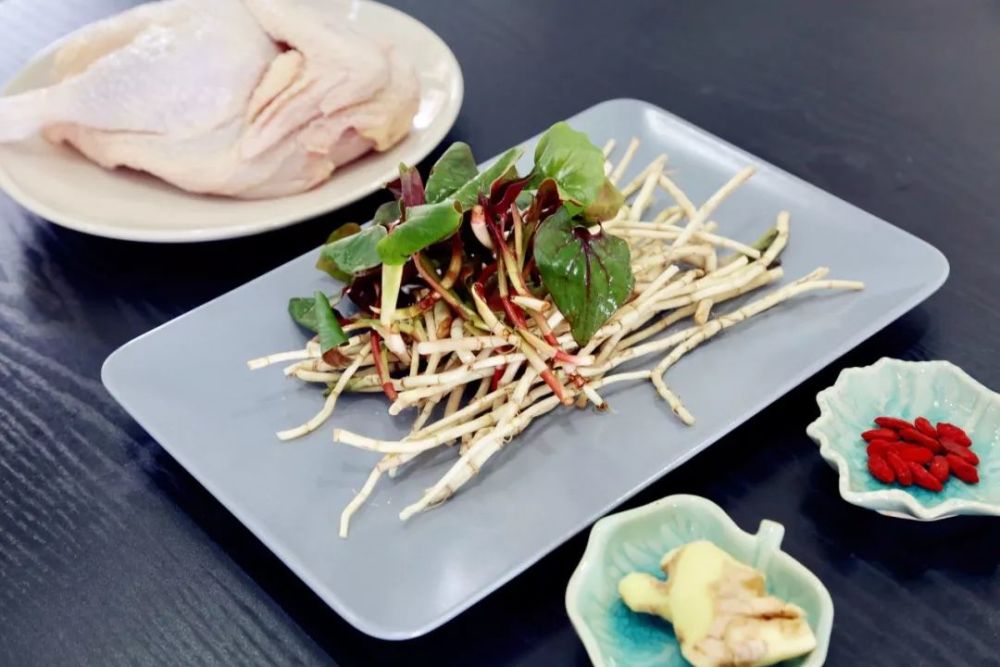 中医,感冒,鱼腥草,咳嗽