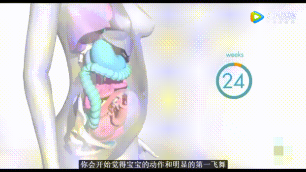 还要经常注意胎动,避免胎儿在肚子里出现异常.