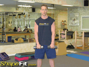 史上最全面健身房器械使用图解+训练计划