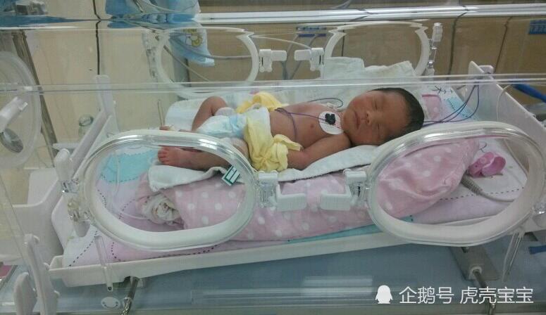 为啥有的新生儿要进保温箱?妈妈别担心,